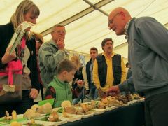 A srác, aki minden darabot végignézett