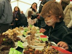 Egyszerűen imádtuk a srácot!