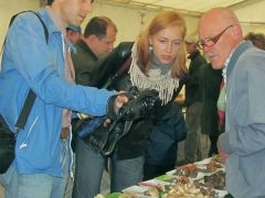 Gombahatározási kisérlet fotóról?