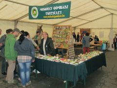 Esteledik, lassan kiürül a sátor köröttünk