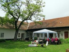 Csendes szorgoskodók