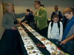 Gomba még a telefonban is!