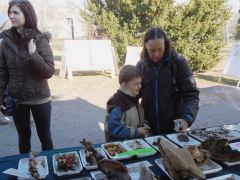 Ádám, Ica és a labirintustapló