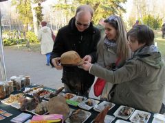 Azért a taplósapka még újdonság nekik...