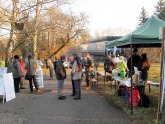 Most van a Nap lemenőben - szép délután volt