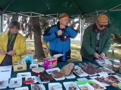 A nagy csapat! - Lapzárta utáni képek