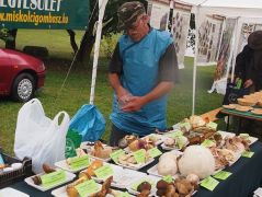 Esik az eső? Egy gombász nem jön zavarba!