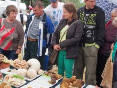 Fogadjunk, hogy már receptet cserélnek!