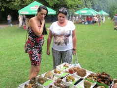 Élet az erdő mentén