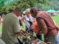 A tinóruk valamiért mindenkit lázba hoznak