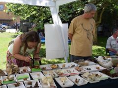 Tavas László is meglátogatott minket