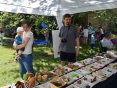 Csak úgy benéztünk...