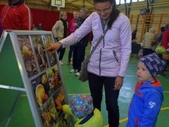 Vizsgáznak az új fotótartók