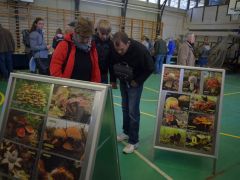 Féltünk, hogy túl alacsony lesz