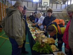 Milyen illata van a petrezselyemgombának?!