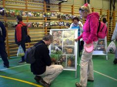 Régi ismerősök - töretlen kíváncsisággal