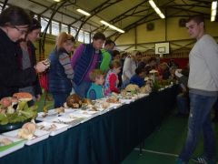 Matyi is kipróbálta magát - helytállt!