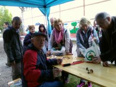 Ilyen faj nincs kitéve, bevinné valaki?!