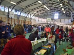 Nyüzsgés mindenhol - egész nap!