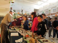 Közben Rozibá` tartja a frontot