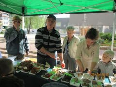 Készül a gombabemutató - van mit!