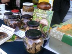 A gombás készítmények mindig népszerűek