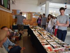 Sok szép gomba, kevés látogató