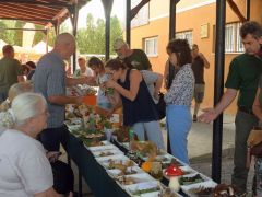 Tényleg karbolszagú? Az milyen?