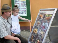 Amíg anyuka táskát válogat...