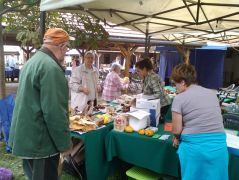 Kezdődik a kirakodás