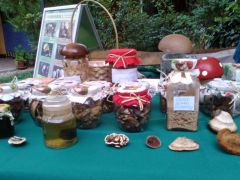 A külsőségek is méltók az alkalomhoz