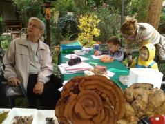 A hidegben is akadt vállalkozó a kifestőre