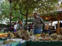 Fotós kedvű gyerekek