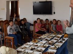 Először egy kis eligazítás