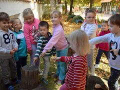 Tuskógomba a tuskón