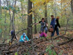 Családi gombagyűjtésen
