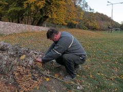 Jánost megdolgoztatja az óriás bokrosgomba