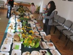 Összesen 101 fajt állítottunk ki