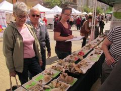 A fajlista írással is lehet tanulni!