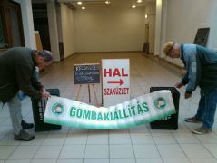 Megjelenés, stílusosan