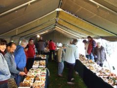 Gomba legalább volt bőven!