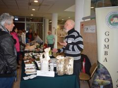 Kicsit eldugva, de azért sokan megtalálnak!