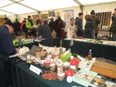 Méltó helyet kaptunk a Civil Sátorban