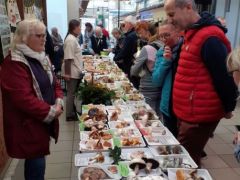 Új tagjaink is gyakorolhatják az ügyelést