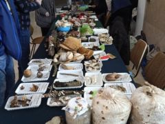 Lassan összeáll a bemutatónk