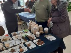 A gombatermesztős szekció