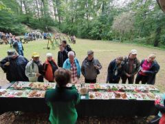 Mi a szokásos gombaismertetőt hoztuk