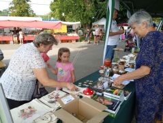 Marikánál nagy a forgalom