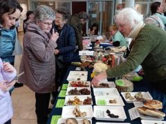 Éva a leggyakorlottabb ügyelőink közé tartozik