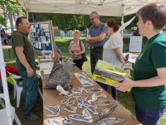 Most is a madarászok a szomszédaink